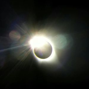 Meet your Posher, Pam